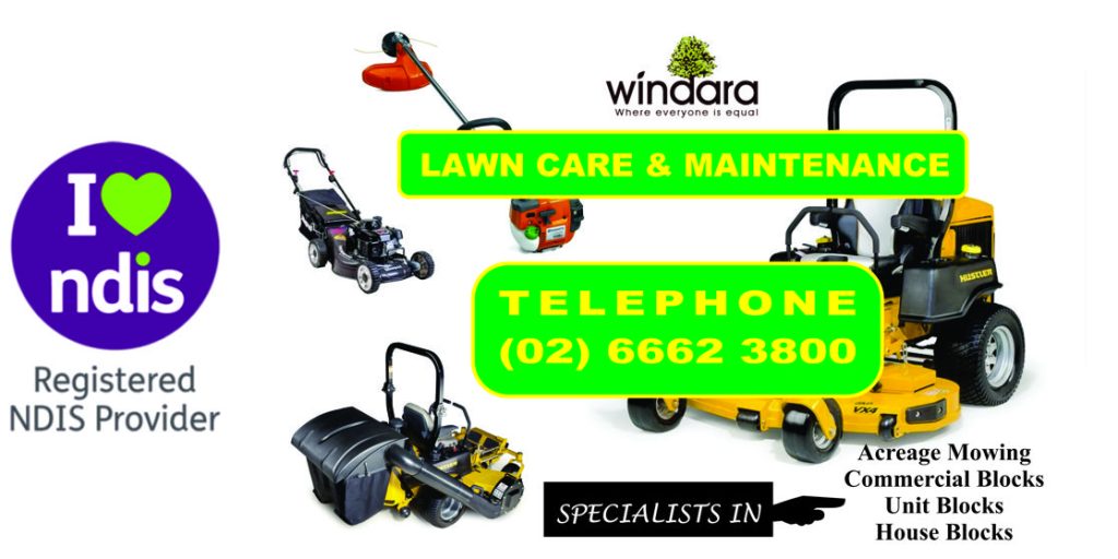 NDIS & Lawn Care